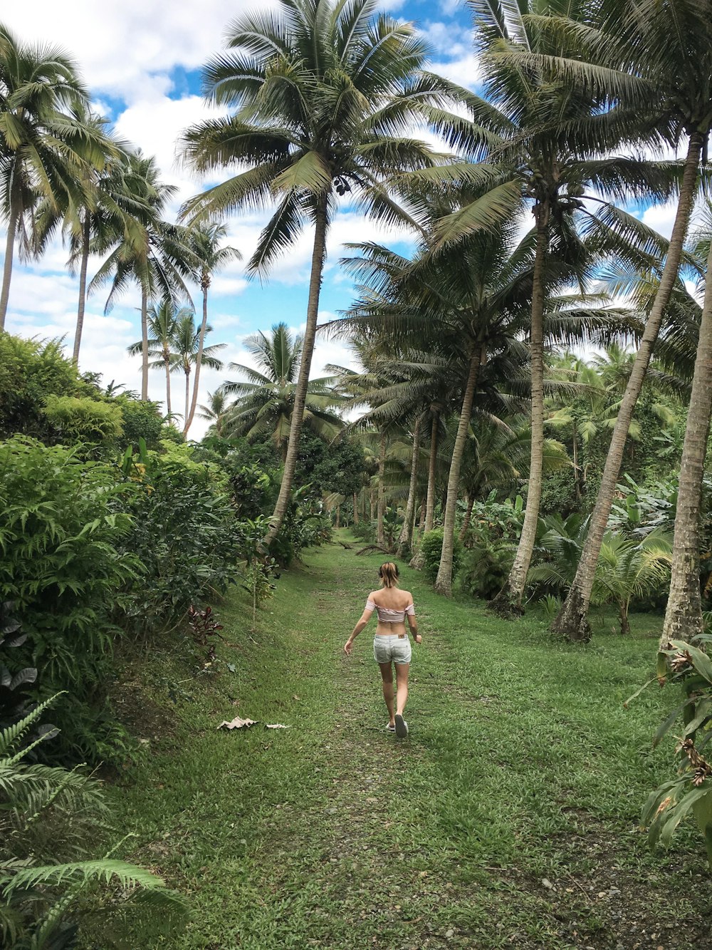donna in piedi vicino agli alberi di cocco