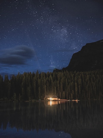 Evening view of the cabin with warm lights glowing, surrounded by nature