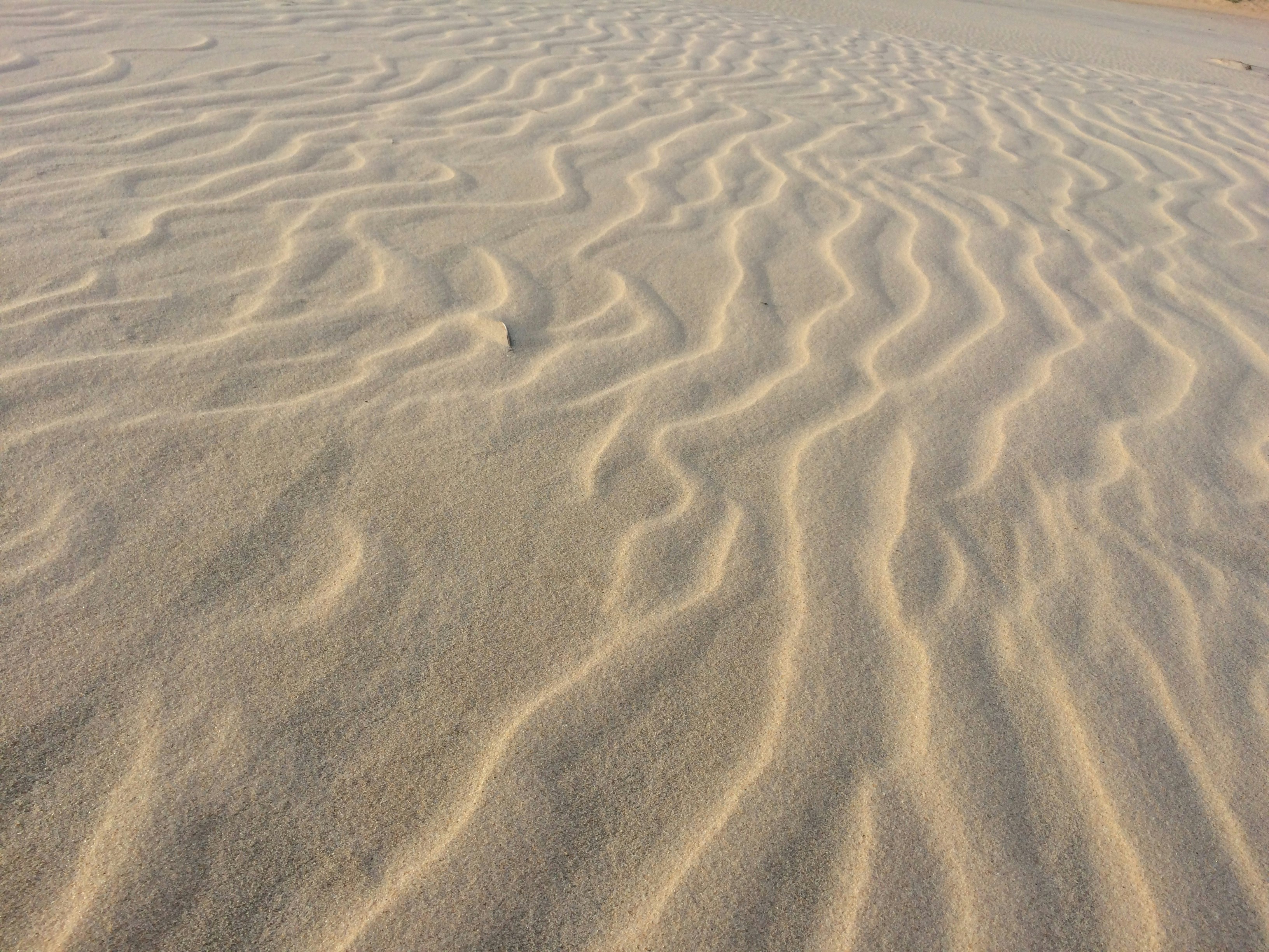 Photo by jaksonmoura