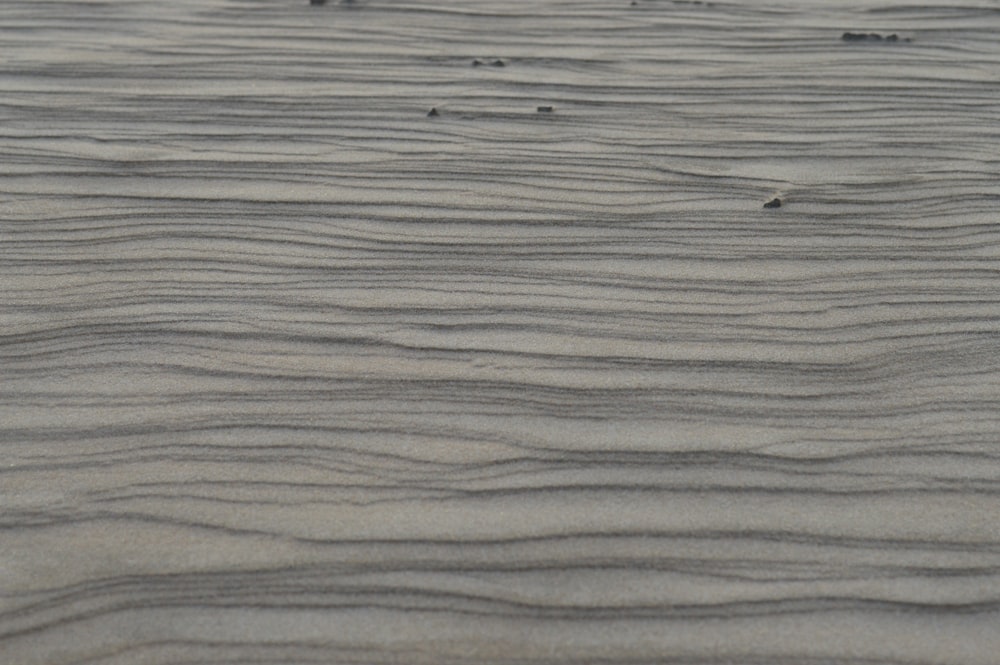 a bird is standing on the sand at the beach