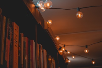 A warm, softly glowing fairy string light draped over a rustic wooden shelf filled with books and plants.