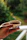 Close-up of a hand holding a delicate porcelain cup filled with steaming tea.