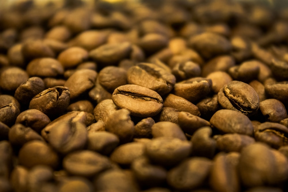 closeup photo of coffee beans