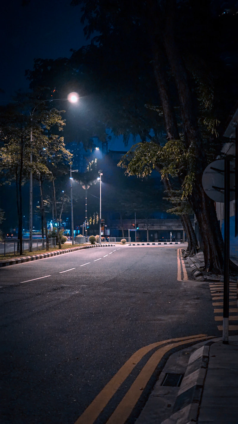 Street lighting outage survey