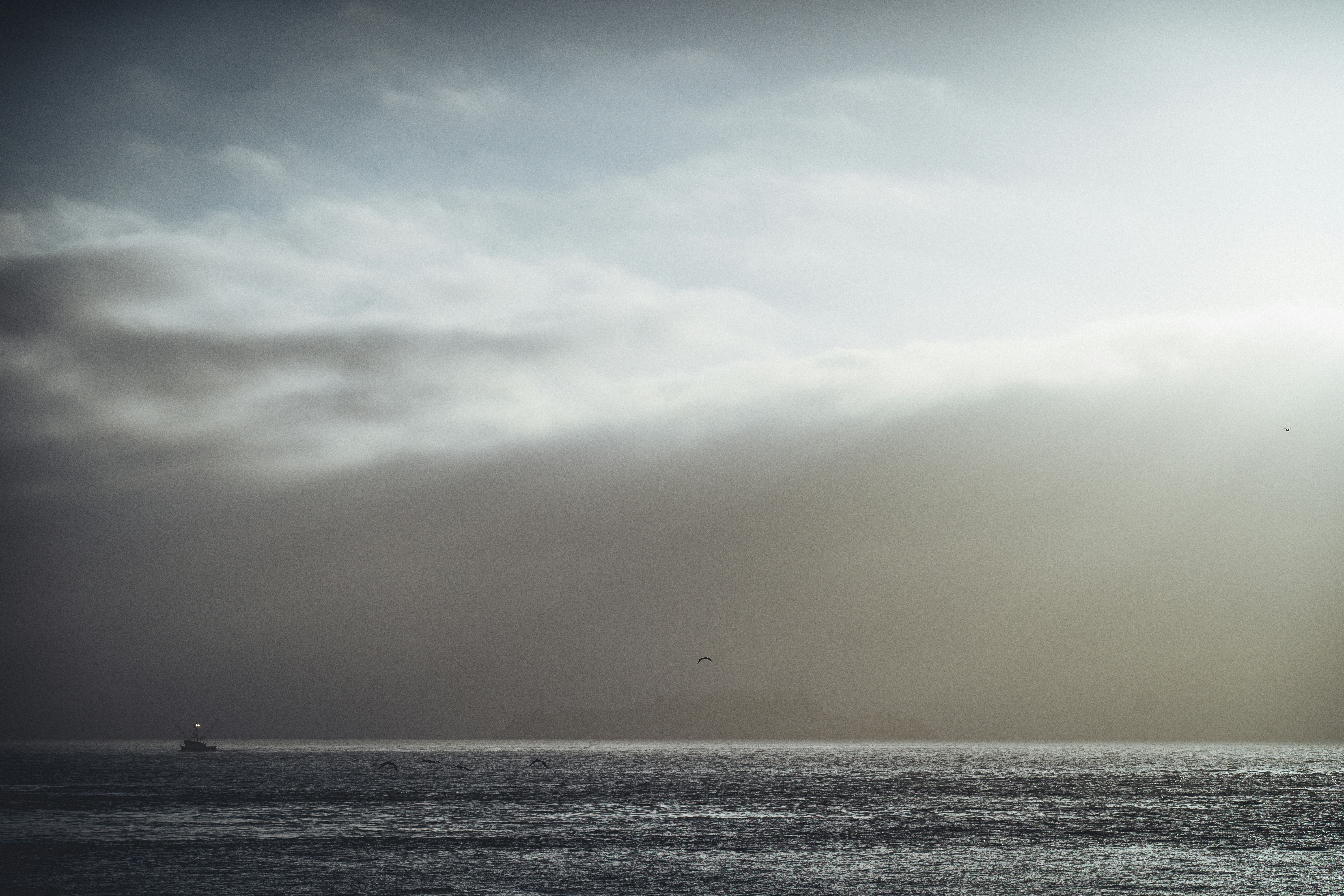 Photo by mischievous_penguins