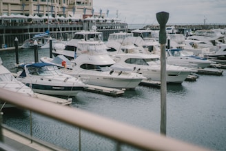Multiple luxury yachts are docked in a marina, surrounded by calm water. A building with several balconies and blue flags is visible in the background, adding to the coastal setting. The scene is peaceful, with an overcast sky and various boats lined up neatly along the piers.