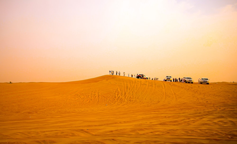 people and cars on desert during daytime