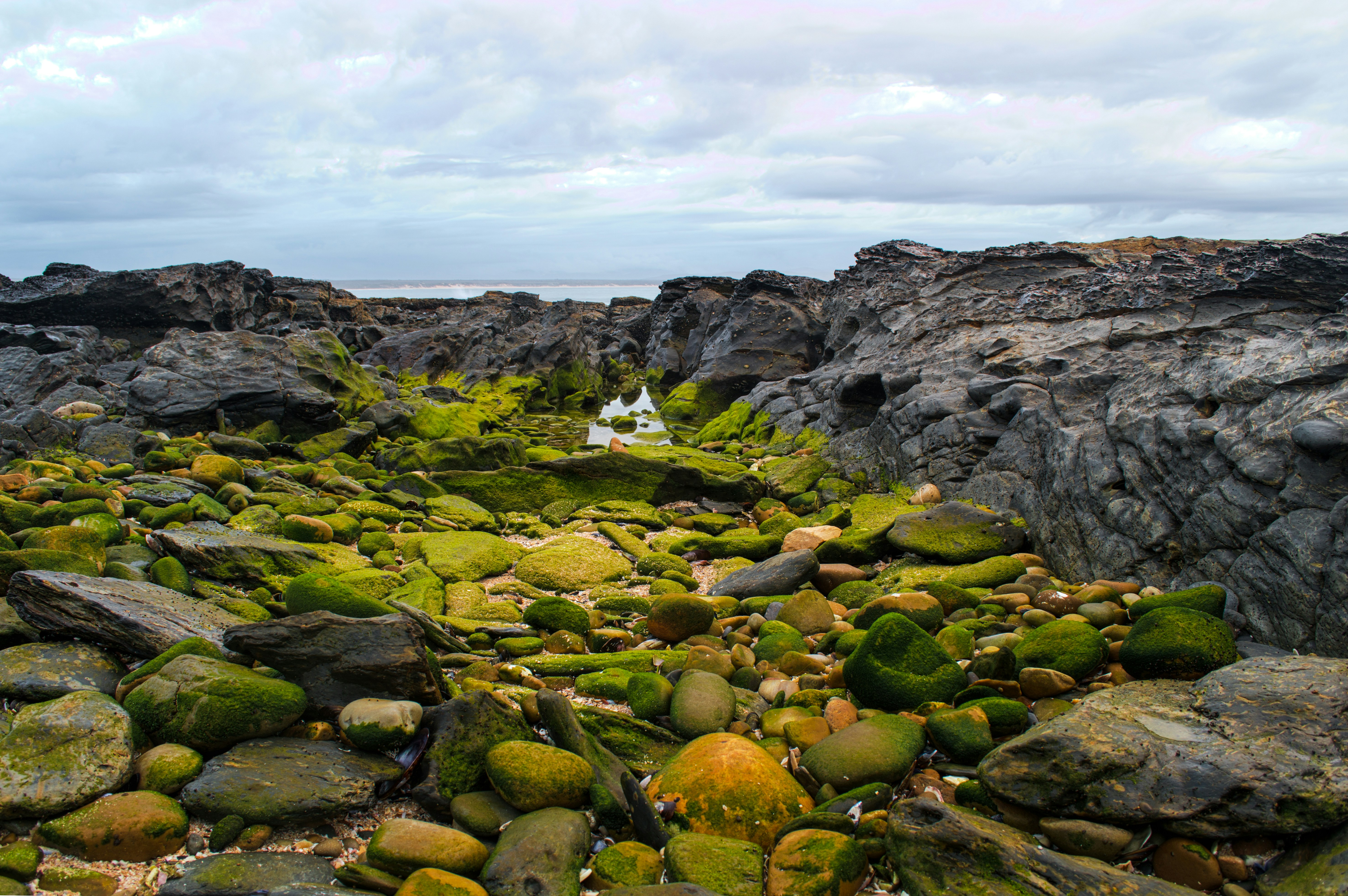 Photo by candicepicker