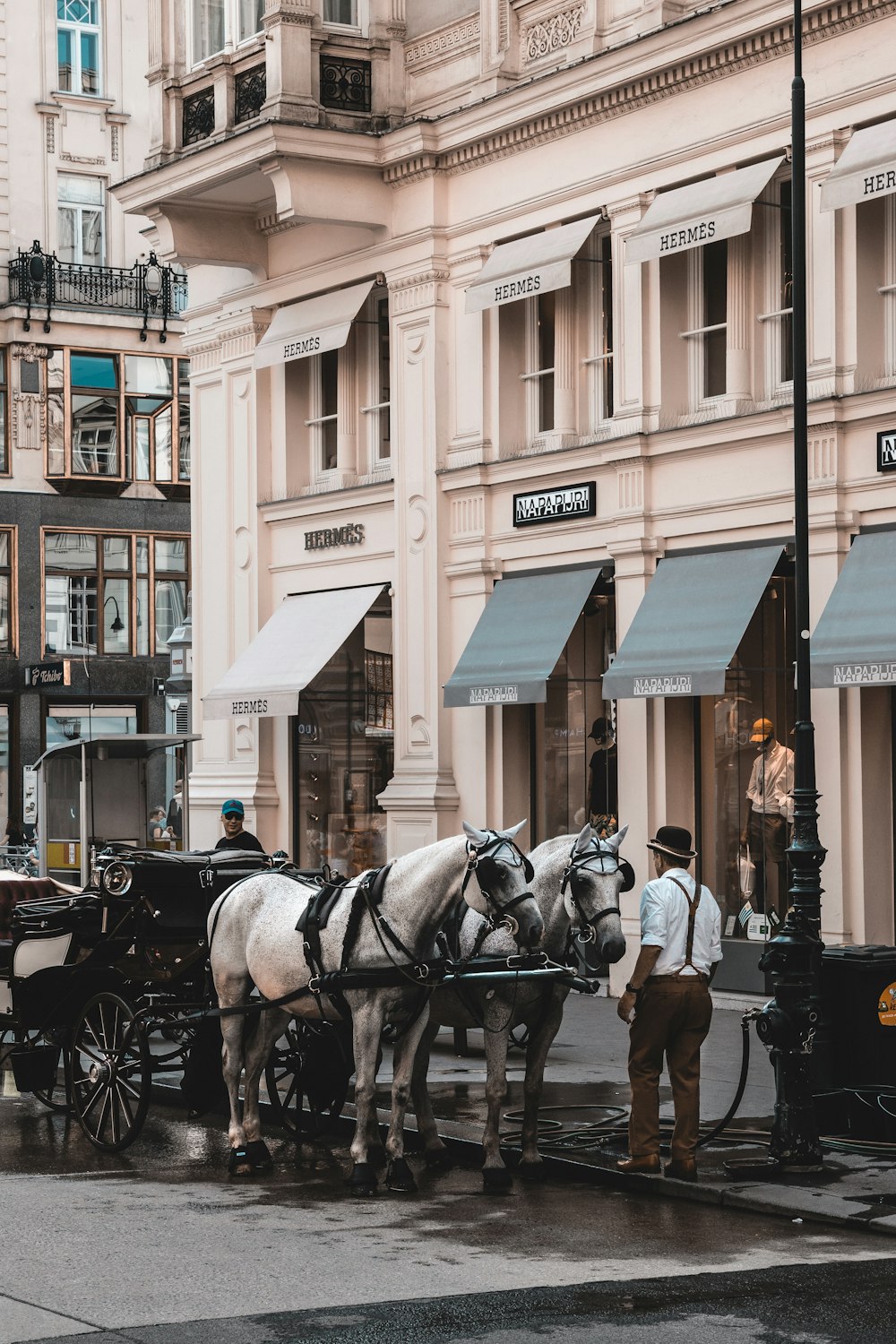 man infront of horses