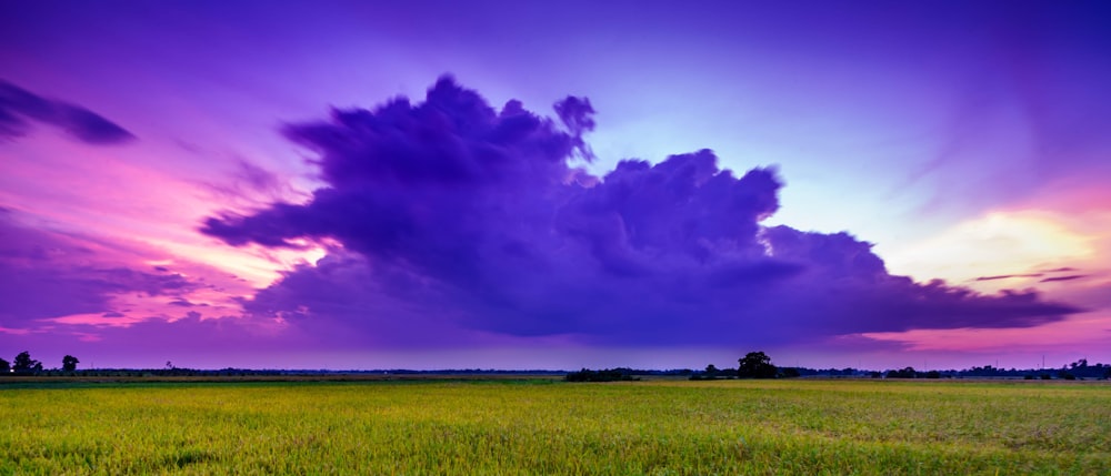 green under blue sky