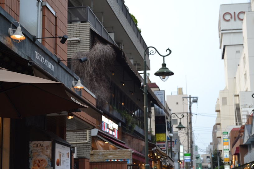 A vibrant street scene in Thiruvananthapuram showcasing traditional Kerala architecture with lush greenery.