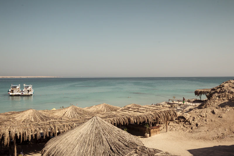 Best Pet-Friendly Cafes in Hurghada Where Your Dog Is as Welcome as You
