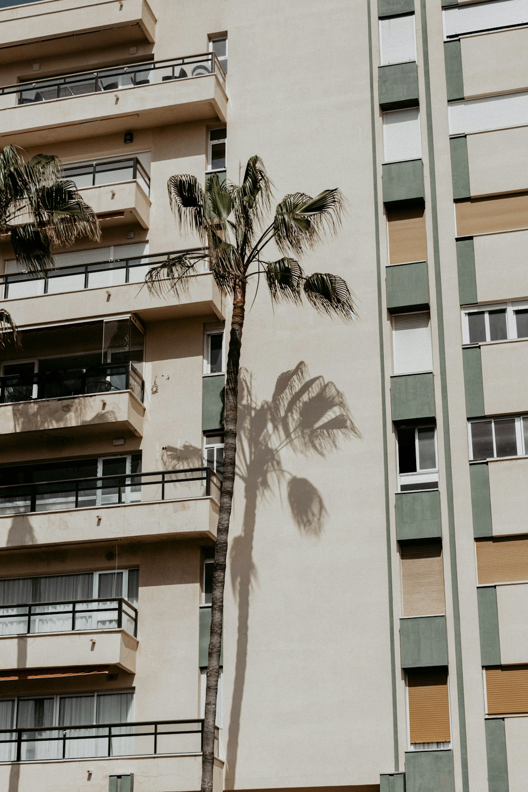 white and beige building