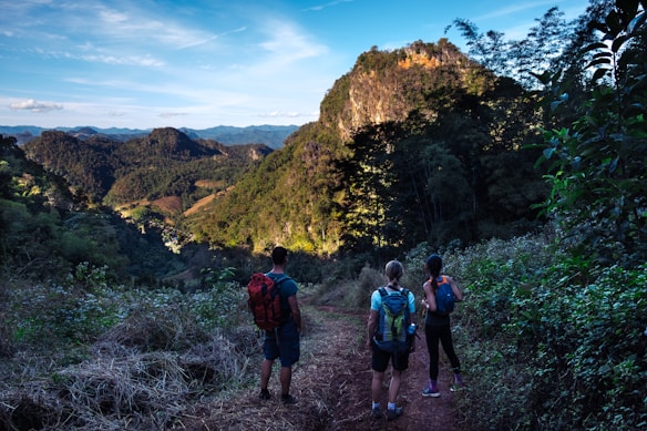 Three hikers with backpacks are standing on a dirt trail surrounded by lush greenery and overlooking a scenic view of mountains covered with forests. The sky is partly cloudy and the sunlight casts illuminating patches over the landscape, creating a contrast between light and shadow.