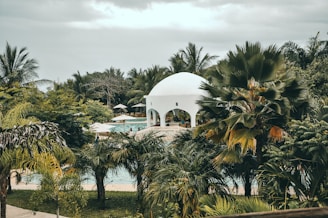 white dome gazebo surrounded with trees