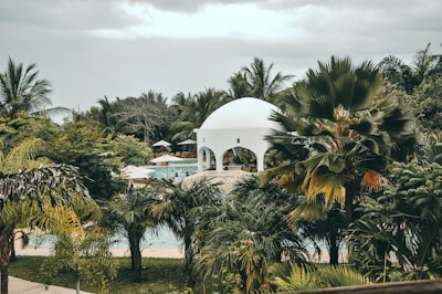 white dome gazebo surrounded with trees