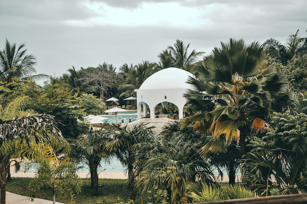 gazebo de cúpula branca cercado de árvores