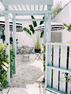 plants near wall