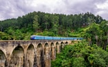 blue train surrounded by trees