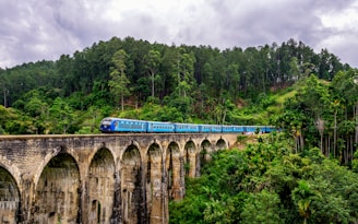 blue train surrounded by trees
