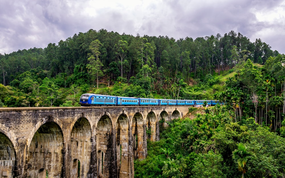 blue train surrounded by trees