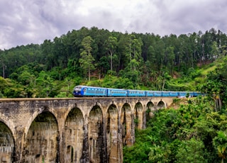 blue train surrounded by trees