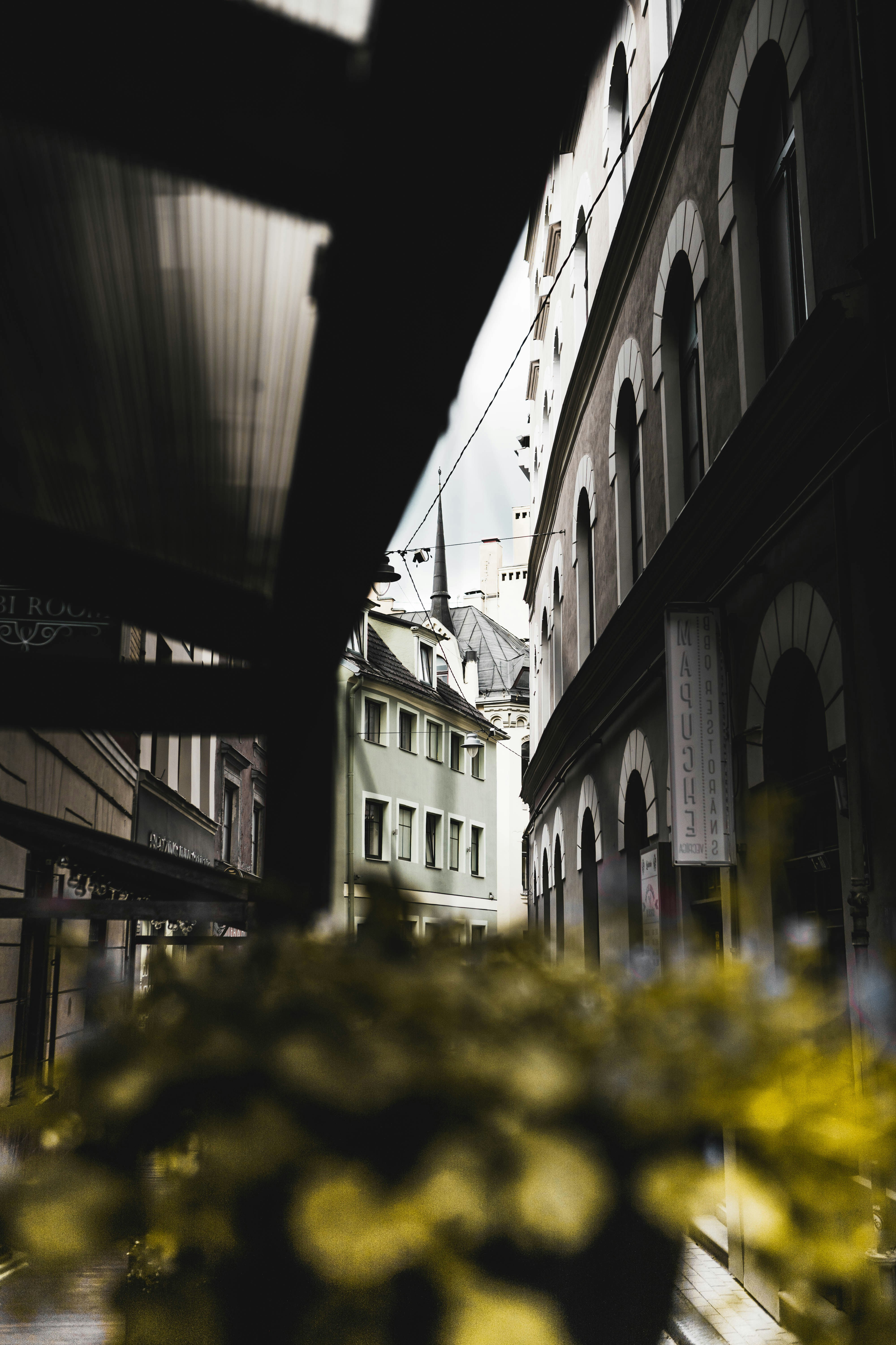 Photo by marklandmanphoto