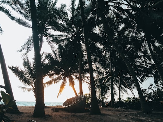 photo of Haa Dhaalu Atoll Landscape near Milandhoo