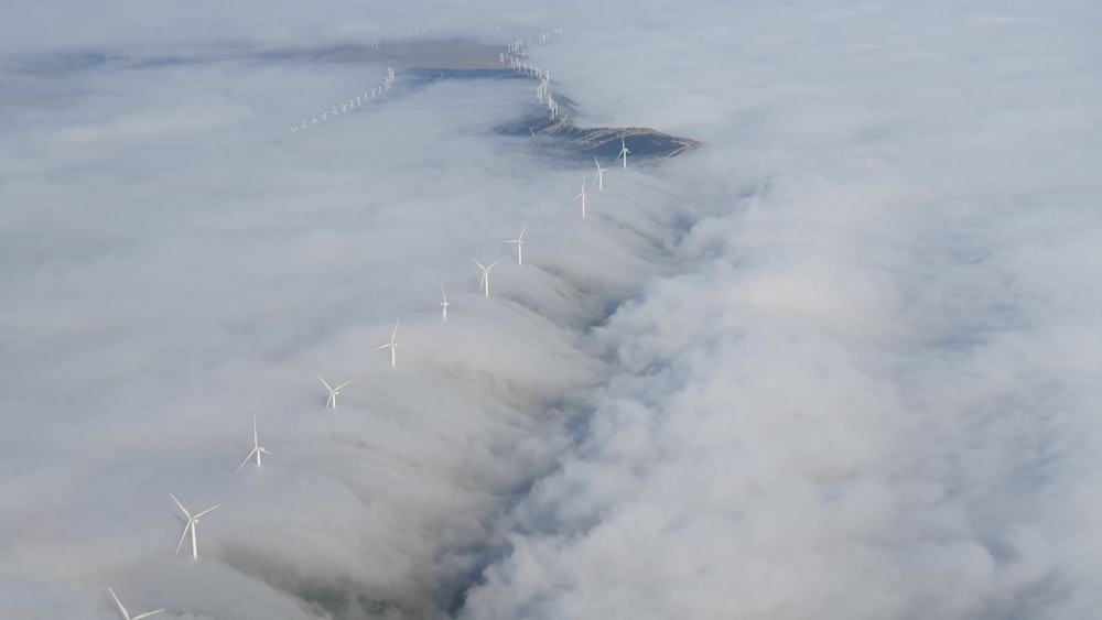 white wind mills