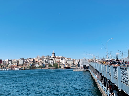 white and gray bridge in Золотой Рог Turkey