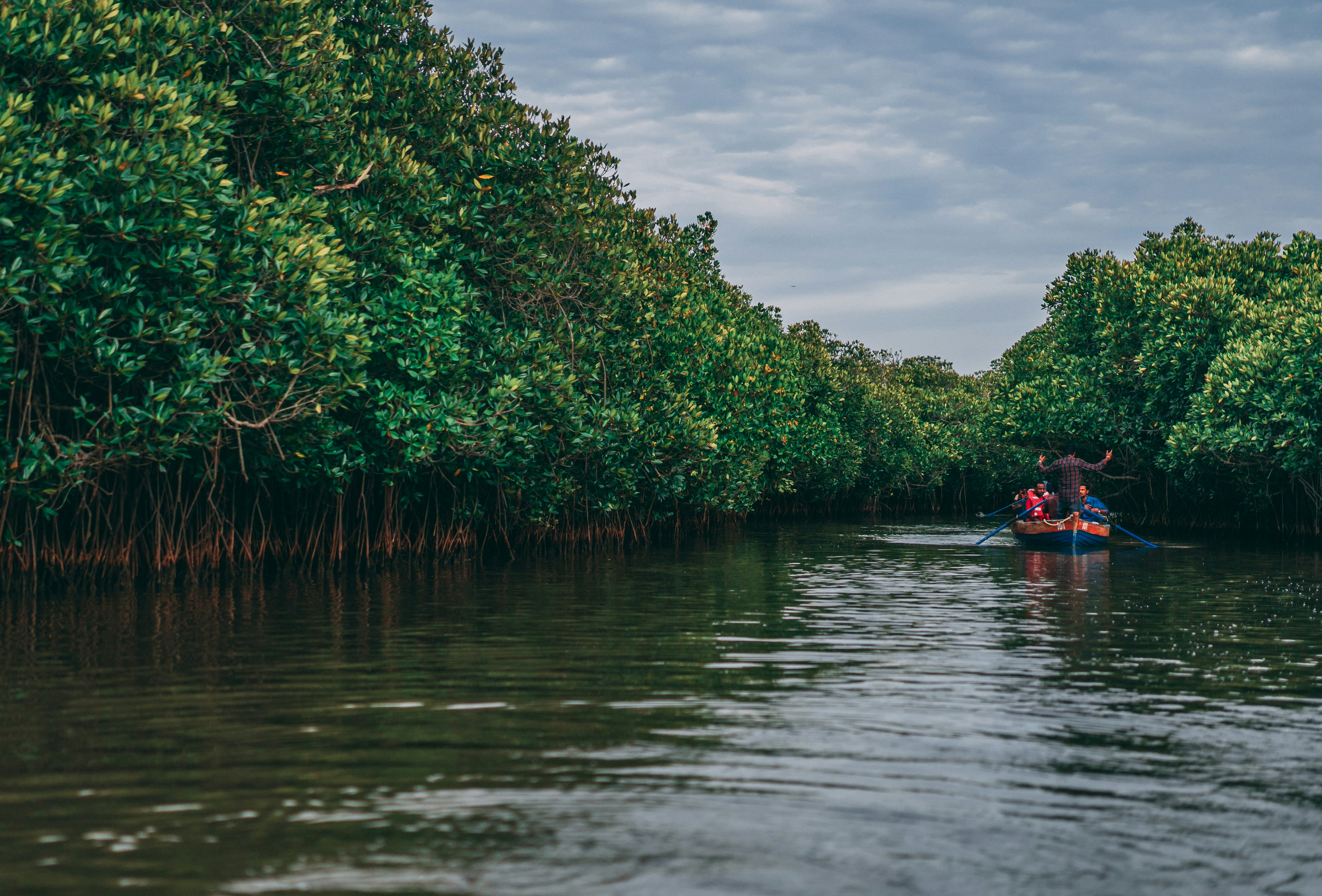 Photo by suicide_chewbacca