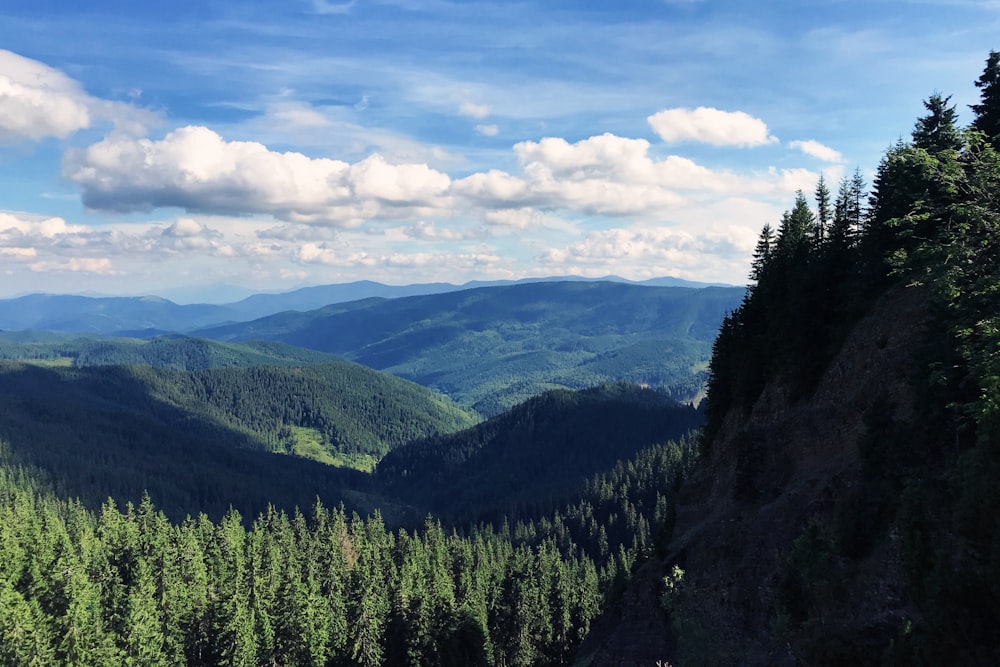 aerial photography of green mountain during daytime