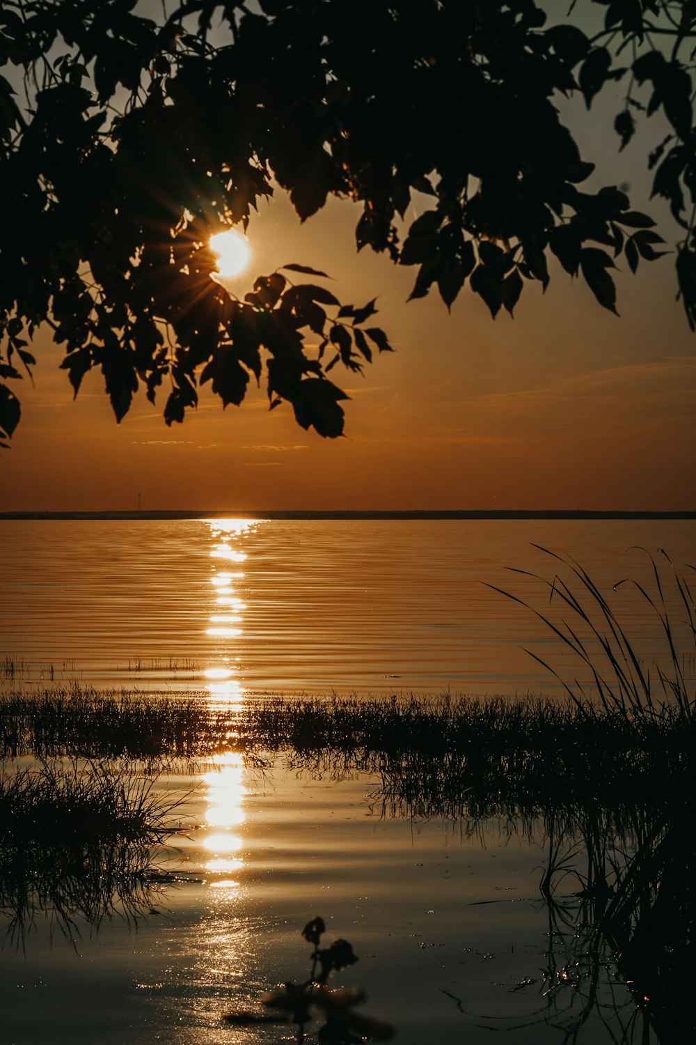 lake during golden hour