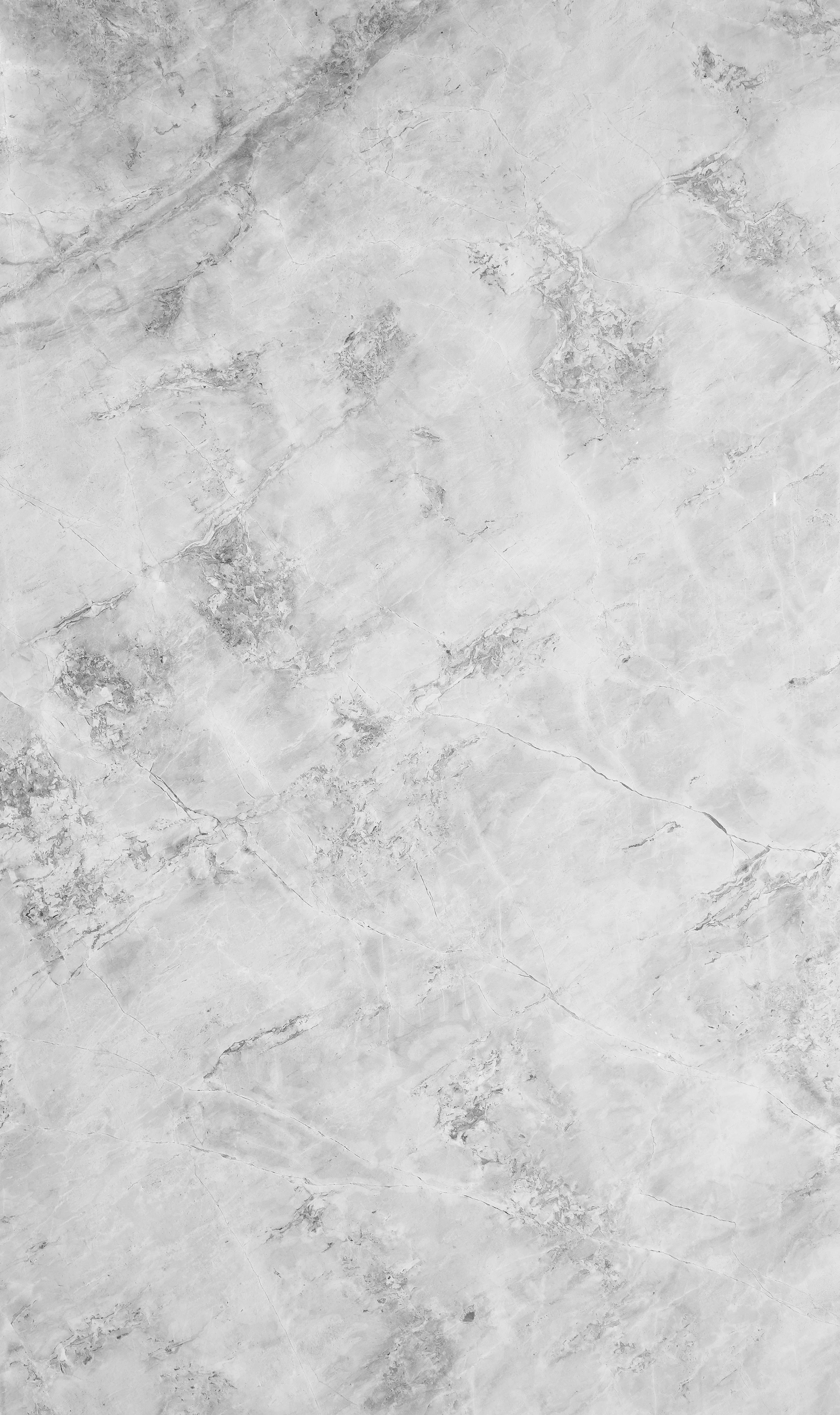 White marble with grey veining