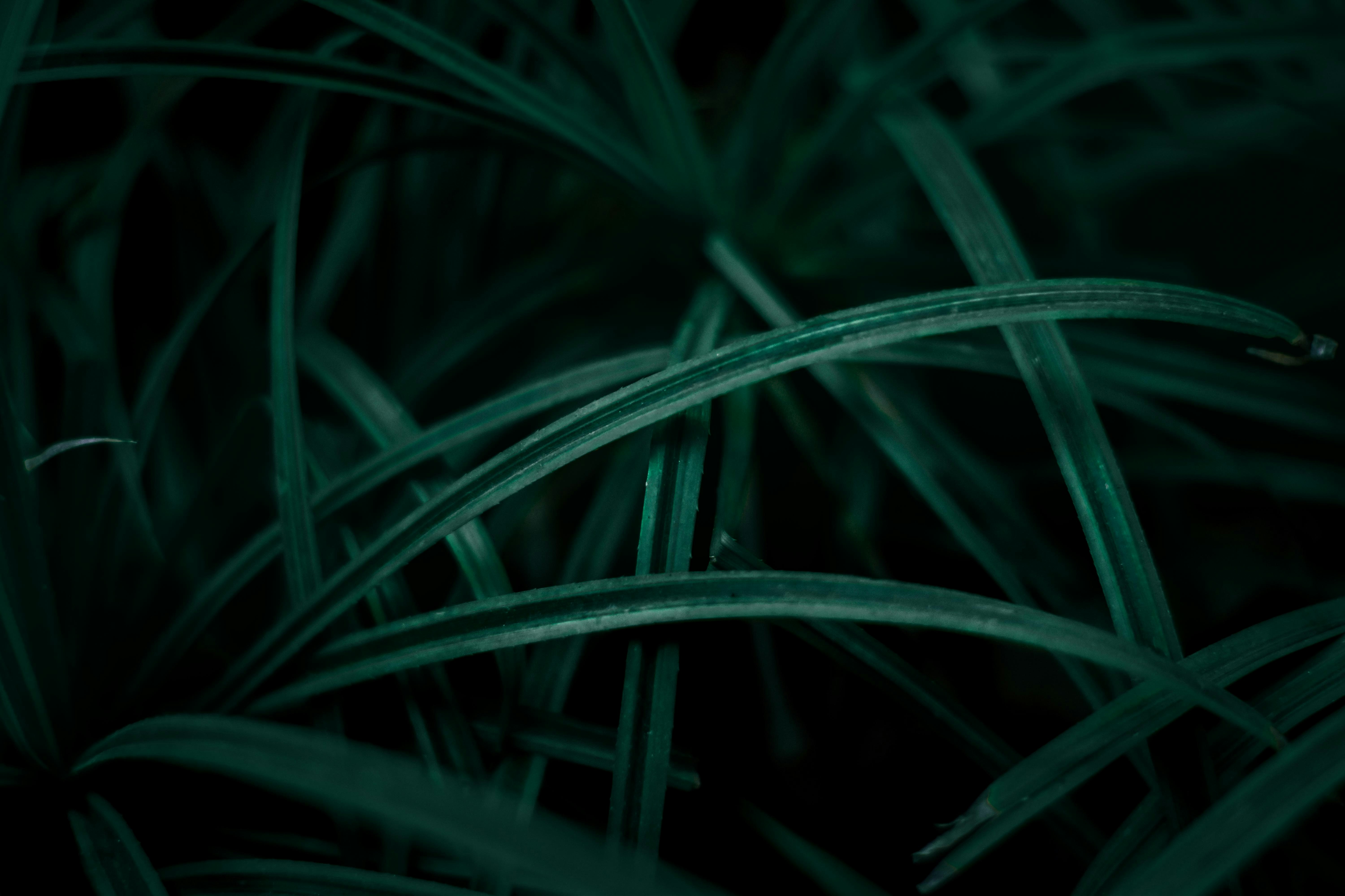 Photo by hikarinoshita