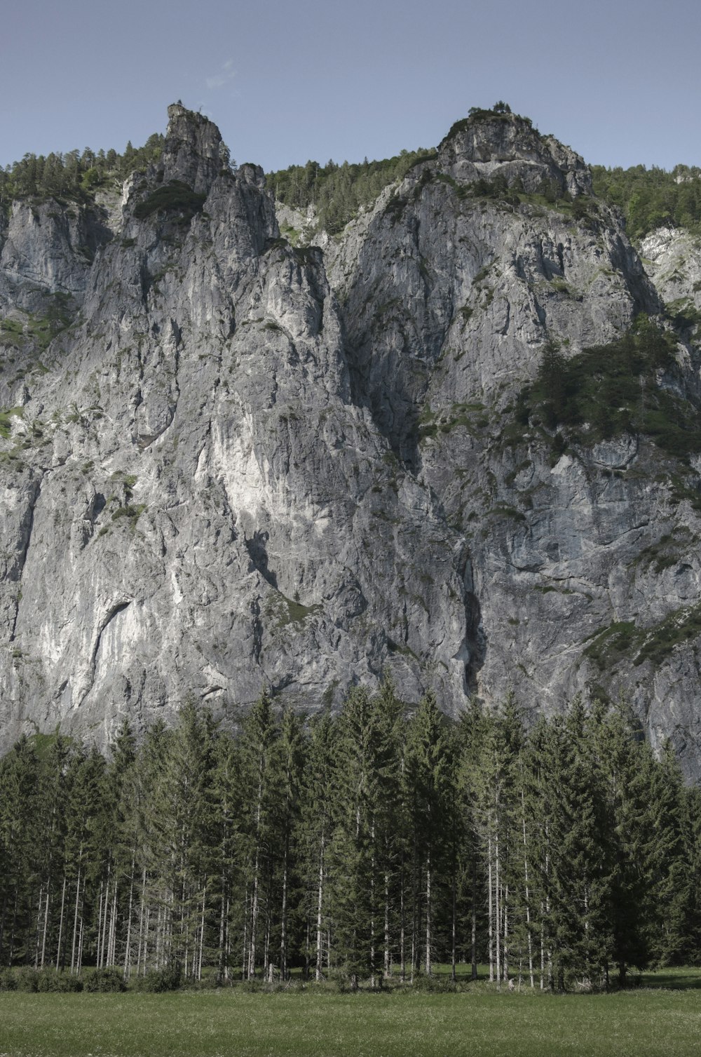 green trees near mountain during daytime