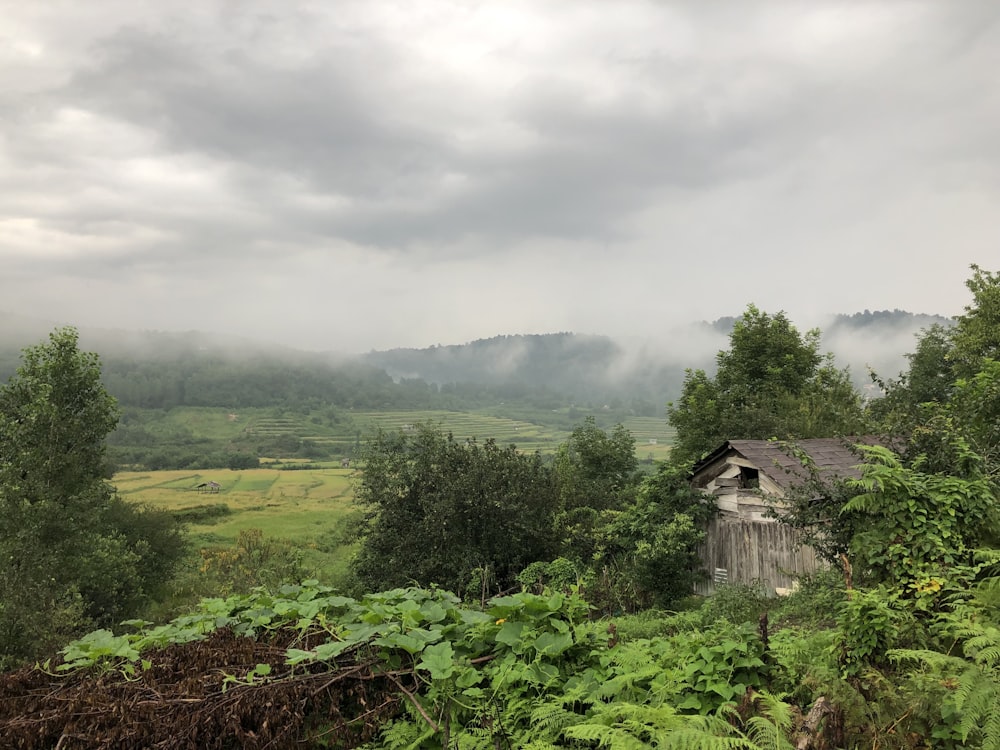 house near vegetable farm