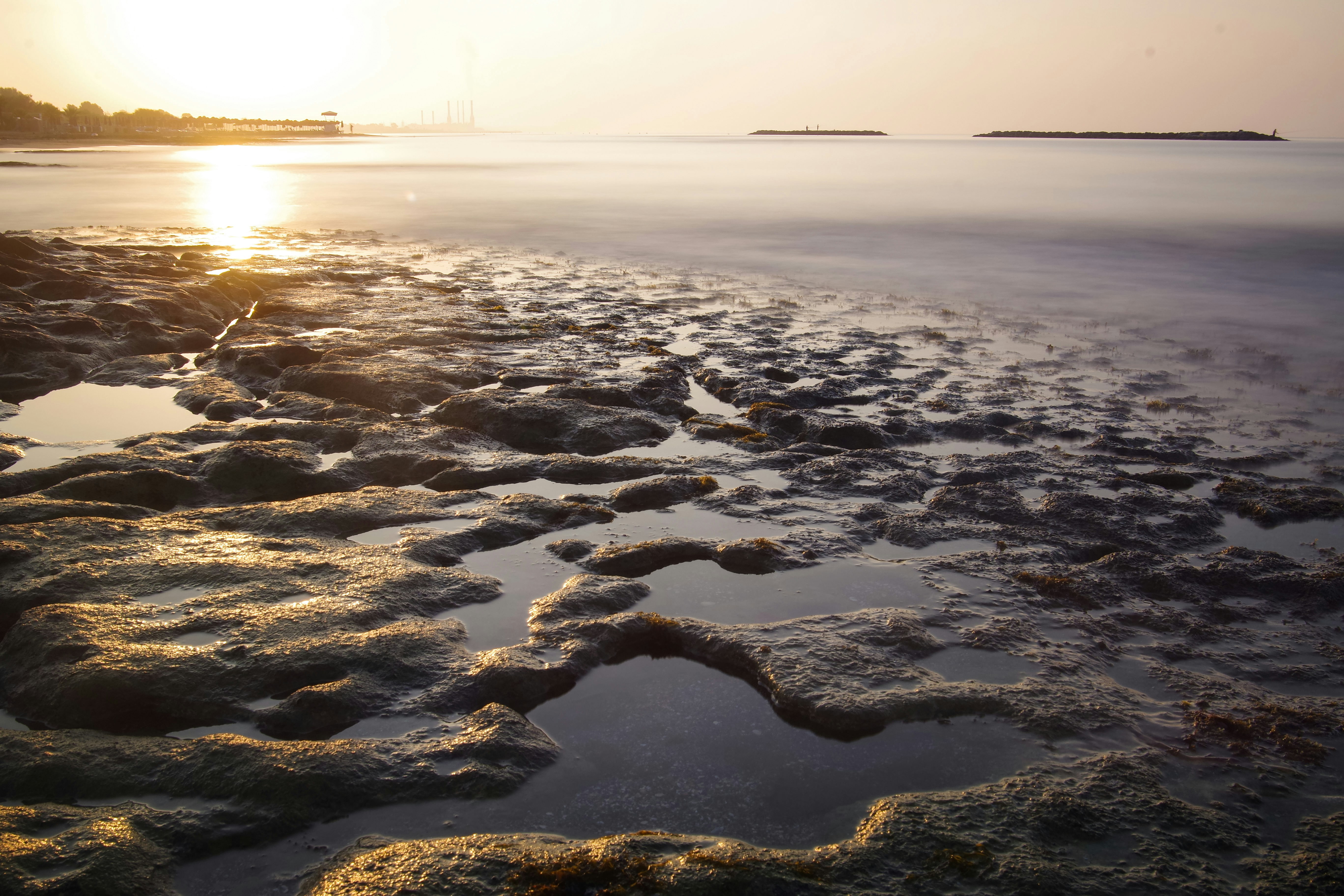 Photo by simonkuznetsovphoto