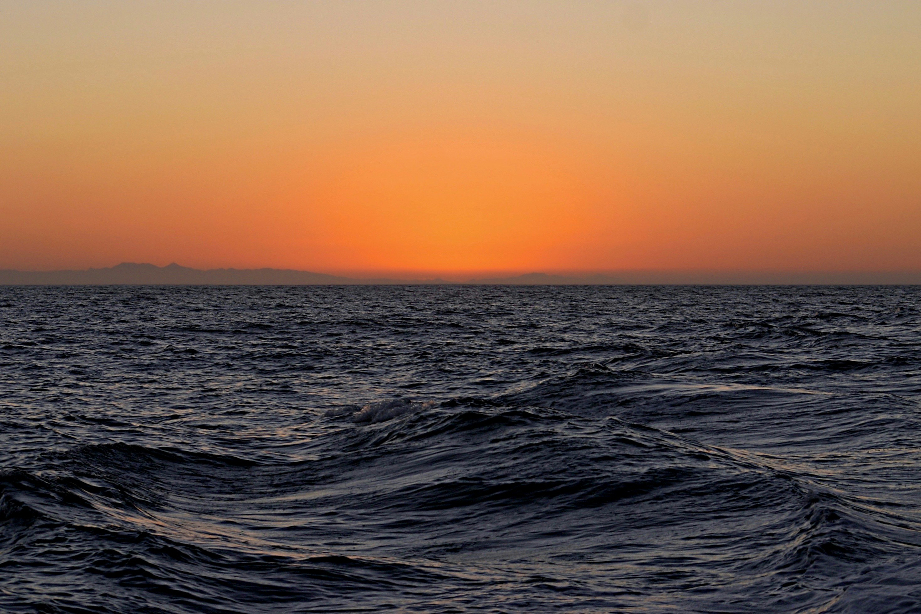 Photo by picsbyjameslee