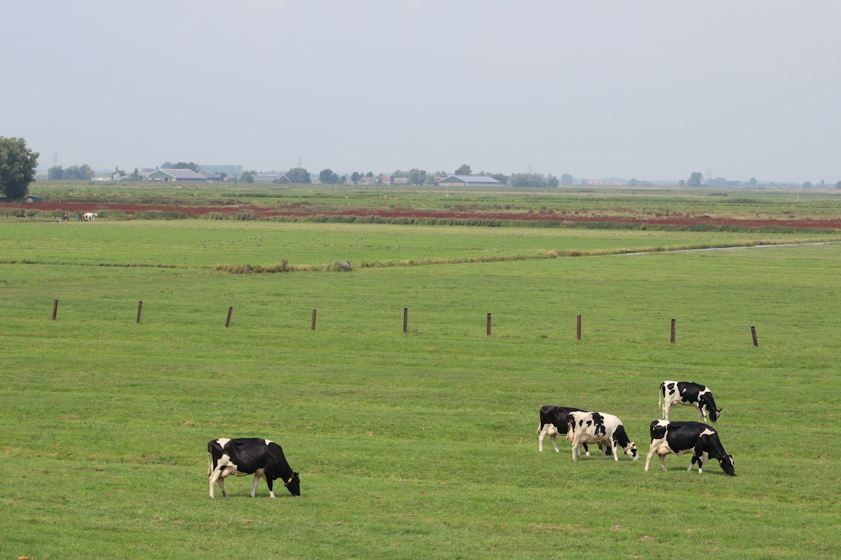Zuivelboerderij de Kern