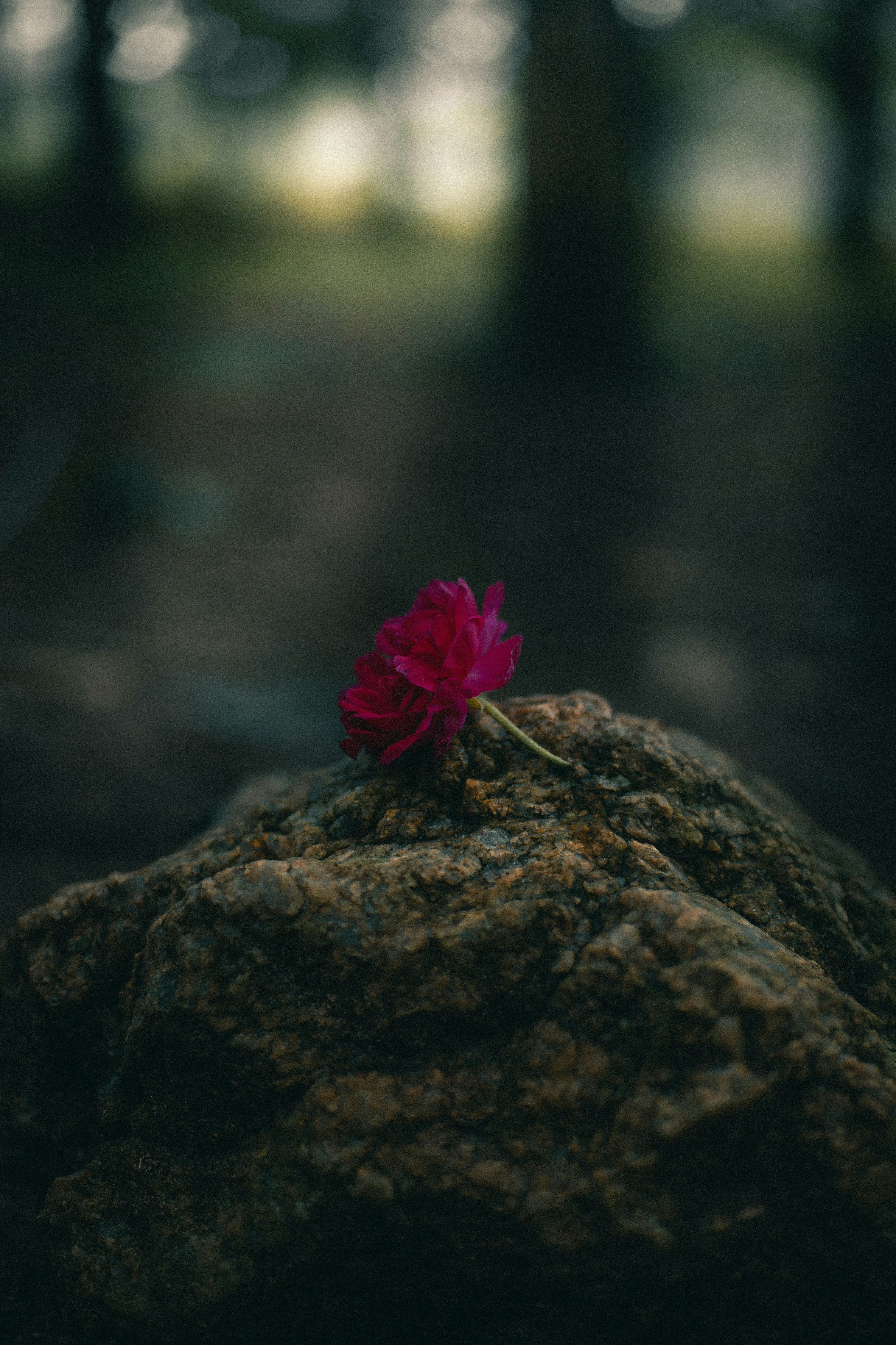 Photo by zayyerrn