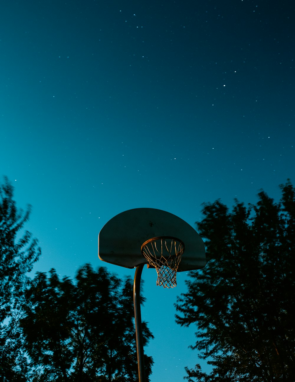 canasta de baloncesto marrón y blanca cerca de los árboles