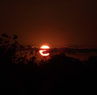 sun setting triggering solar yard lighting