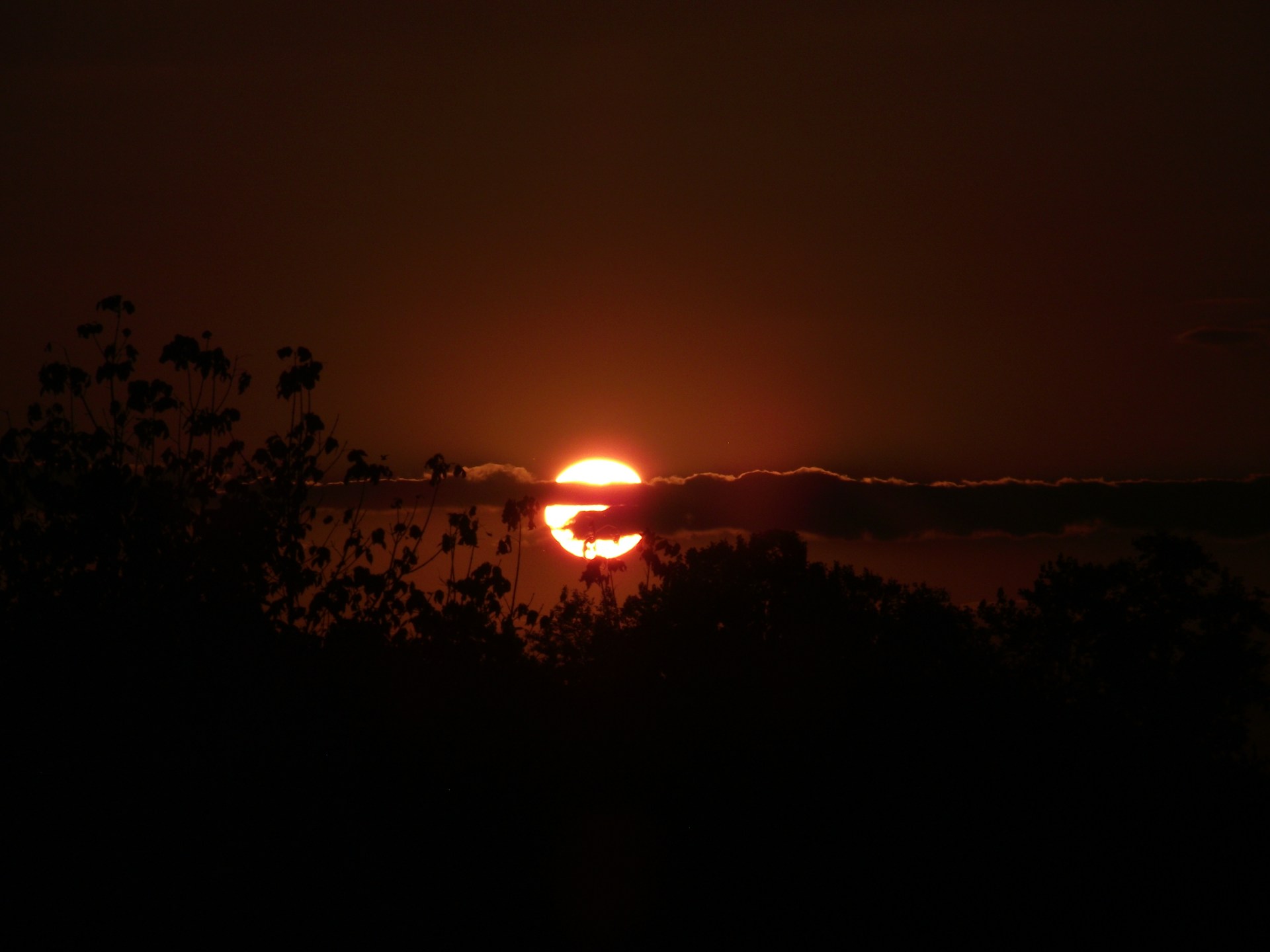 sunset photograph during nighttime
