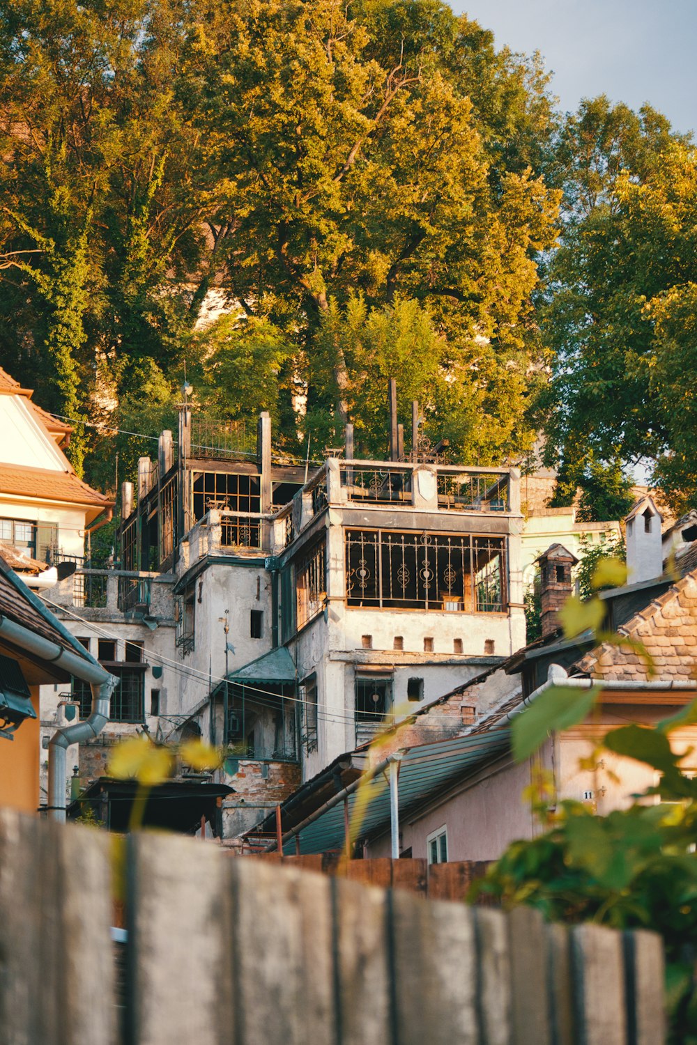 buildings near trees