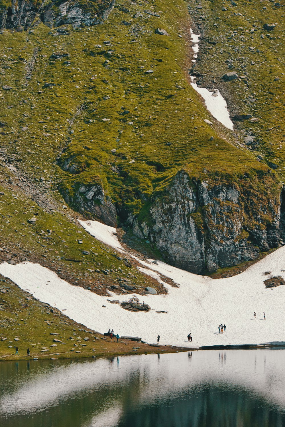 grass and snow covered mountain shore