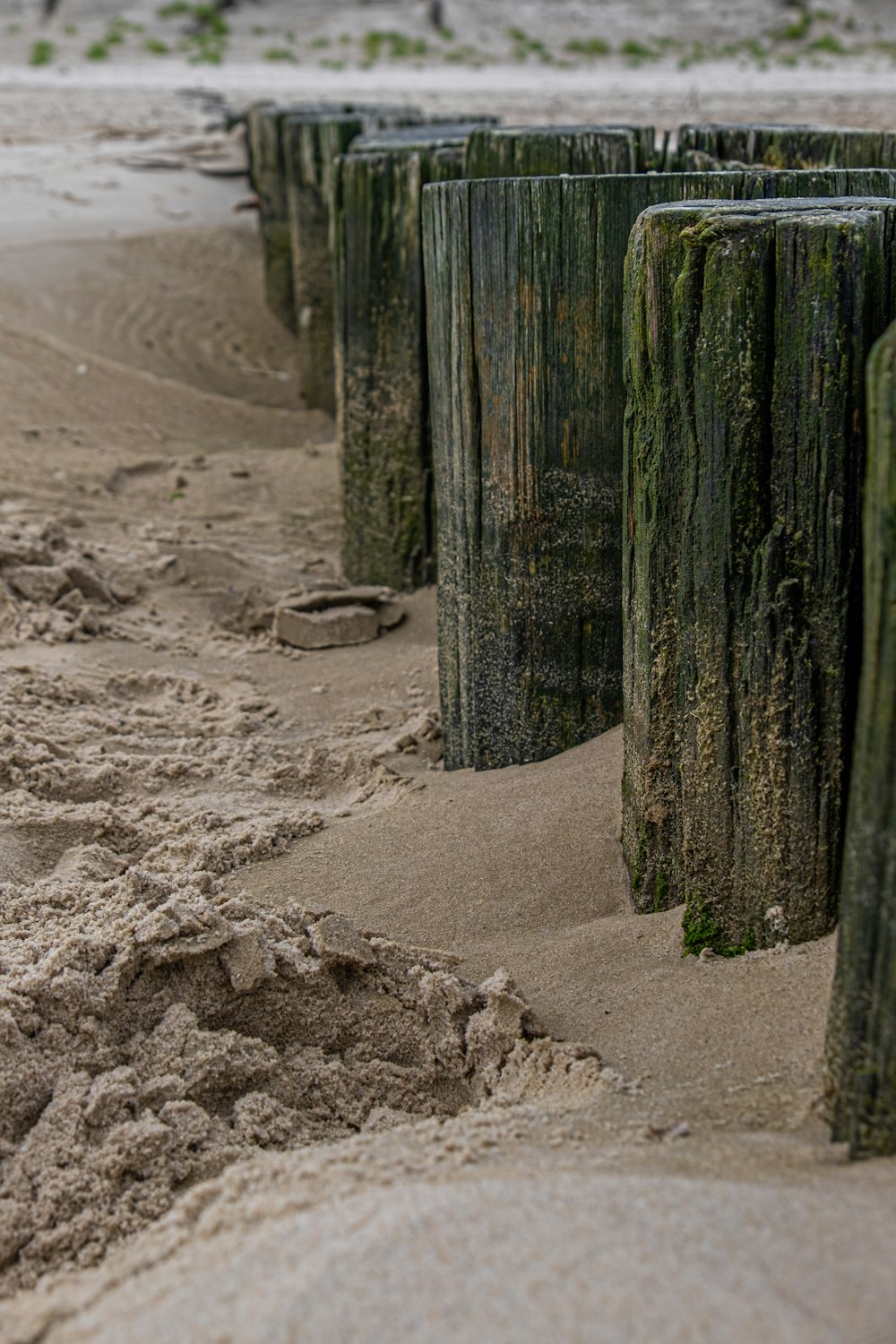 a group of wooden posts sitting on top of a sandy beach