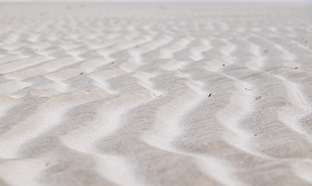 closeup photo of sand