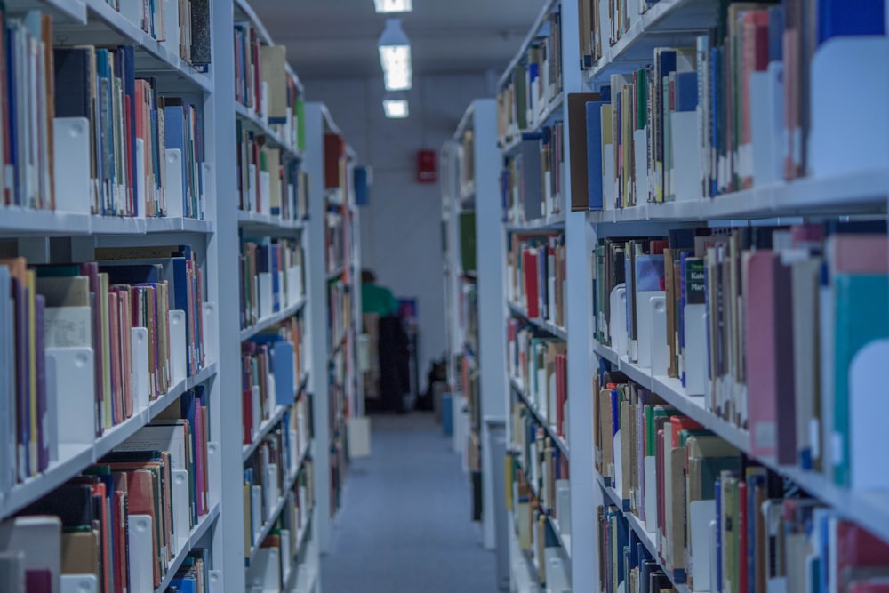 assorted books on shelf inside building