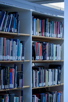 bunch of books in shelf